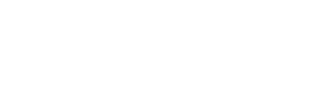 Platform Support Services